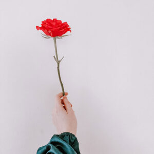 Red Rose